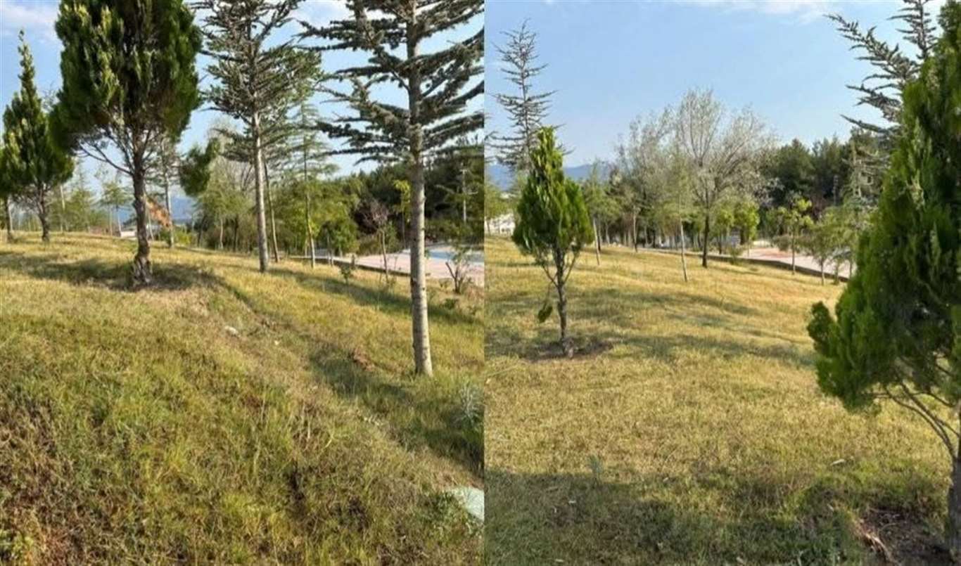    Yatağan Kaymakamlığı’ndan Millet Bahçesi iddialarına yanıt haberi